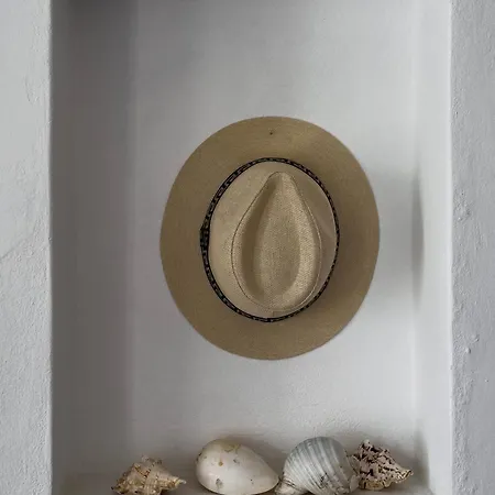 公寓 Akti Giannaki Kardhianí