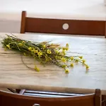 Sea View Rooms In Kardiani *